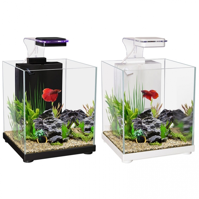 Aqua One Betta Sanctuary Maximum Pet Supplies