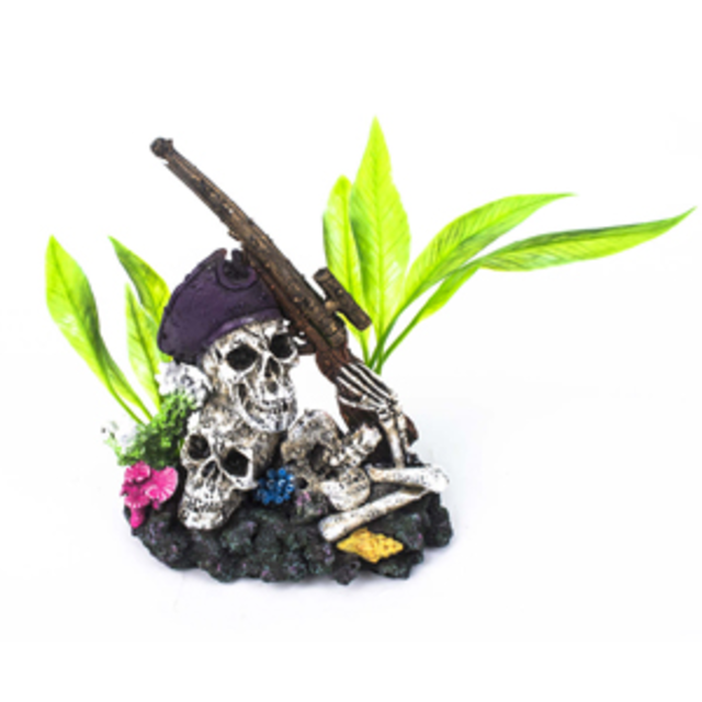 AquaWorld Pirate Skulls Small