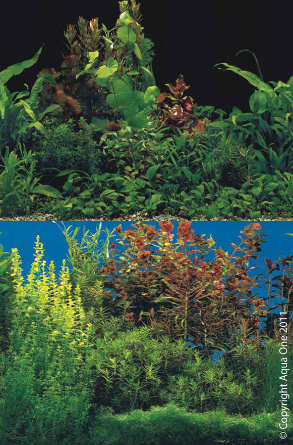 Aqua One Background - Plant W/black & Plant W/blue Double per 10cm