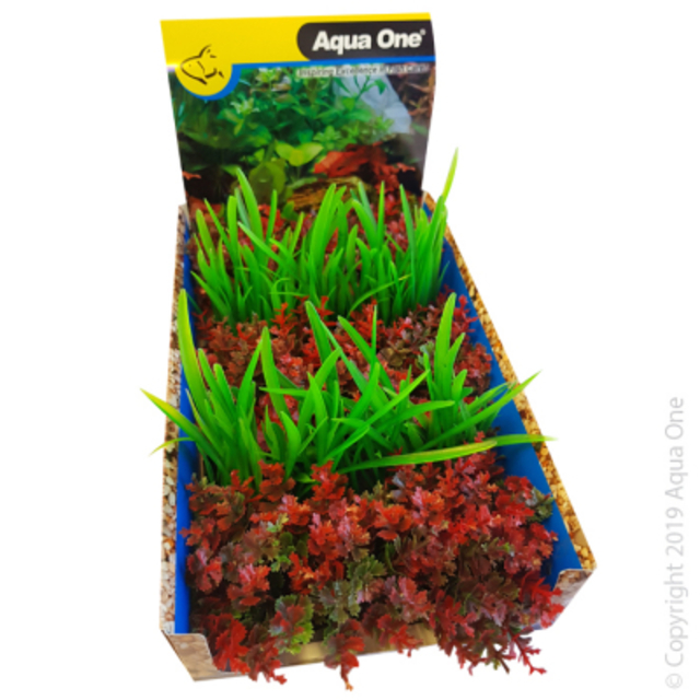 Ecoscape Foreground Catspaw Red or Lilaeopsis Green