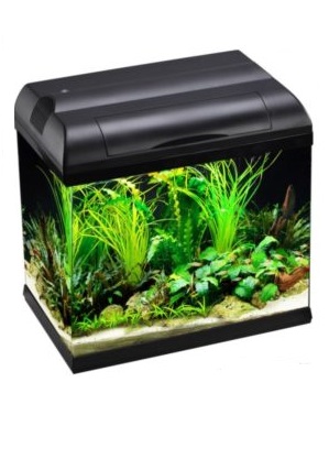 Aqua One EcoStyle 37 Rectangular Aquarium 21L