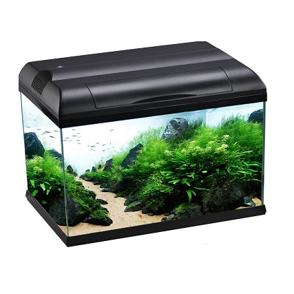 Aqua One EcoStyle 42 Rectangular Aquarium 28L