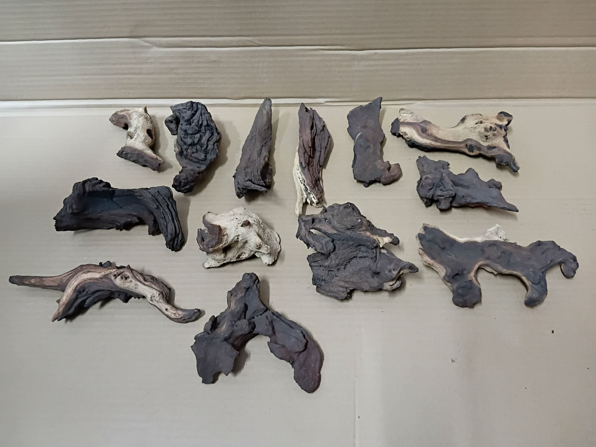 Mopani Driftwood