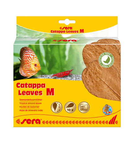 Sera Catappa Leaves