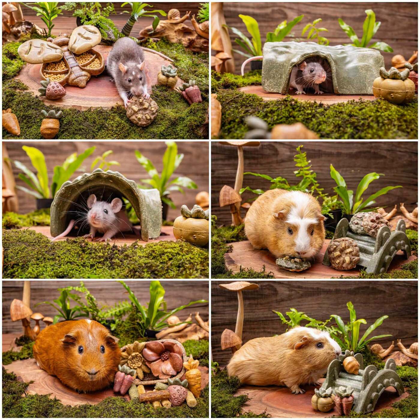 New adorable Pet One Small Animal treats now in-store!