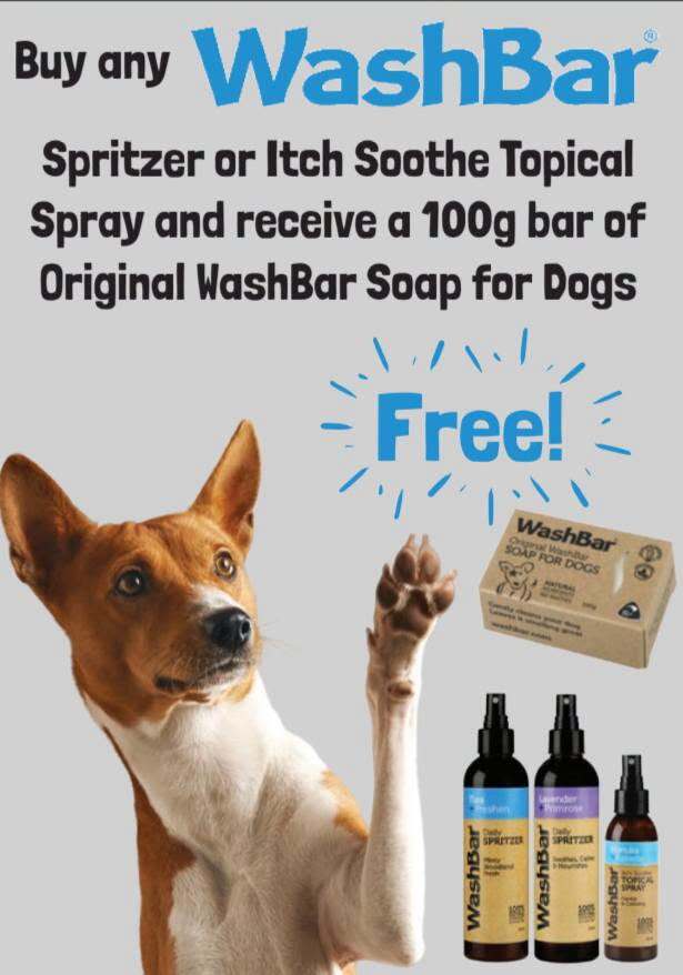 WashBar Deal