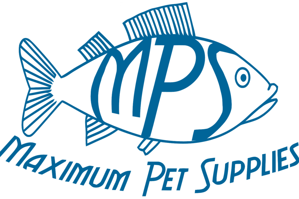 Betta Haven Acrylic Aquarium 7L - Maximum Pet Supplies