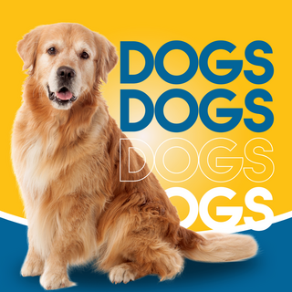 Dogs - Maximum Pet Supplies