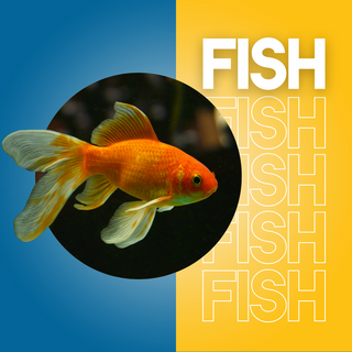 Fish - Maximum Pet Supplies