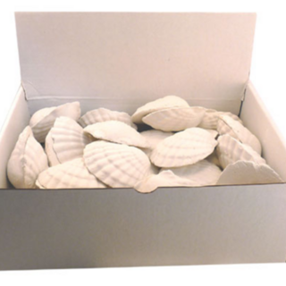 Oxygen Shells