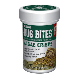 Bug Bites Algae Crisps