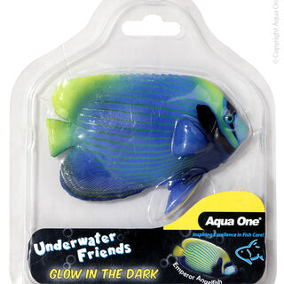 Emperor Angle fish