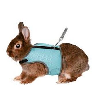 Soft Harness - Rabbit