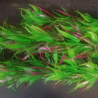 Green and Pruple