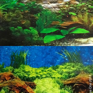Aqua One Background Age Old Wood & Plant With White Stone - Double Side per 10cm