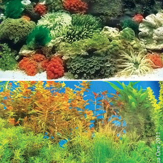 Aqua One Background Coral/Black & Plant with Blue - Double Side per 10cm