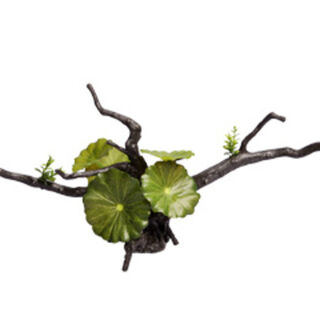 Ecoscape Calathea Driftwood Green