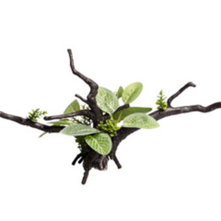 Ecoscape Ignotous Driftwood Green