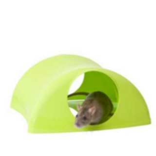 Savic Rody Tunnel