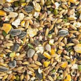 Topflite Soak & Sprout 20kg