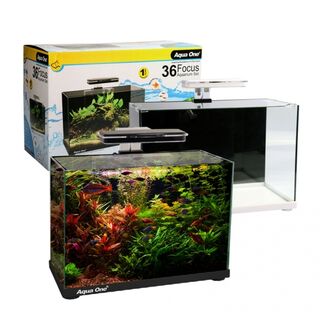 Aqua One Focus 36 Glass Aquarium 36L