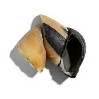 Beef Hooves