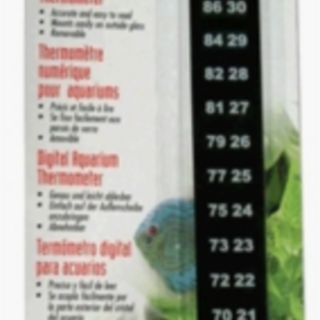 Marina Thermometer Digital Strip