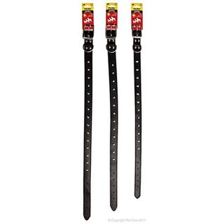 Pet One Collar - Leather Single Row Studded Black