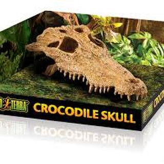 Exo Terra Decor - Crocodile Skull