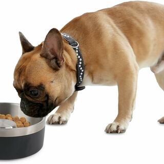 AFP Feeding Stainless Steel Bowl