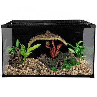 Reptile One Turtle Eco 60