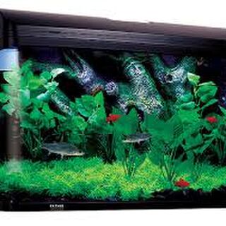 Aqua One AquaStyle AR620 - 90L Curved Glass Aquarium