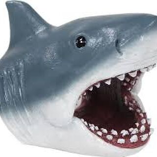 Jaws Swim Thru - Small