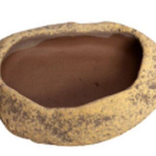 Reptile One Reptile Dish Sandstone