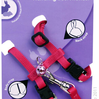 Pet One Leash & Harness Rabbit, Guinea Pig, Ferret