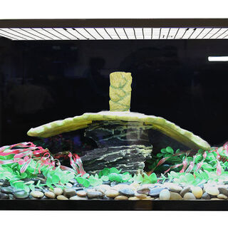 Reptile One Turtle Eco 90