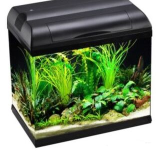 Aqua One EcoStyle 37 Rectangular Aquarium 21L
