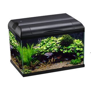 Aqua One EcoStyle 61 Rectangular Aquarium 70L