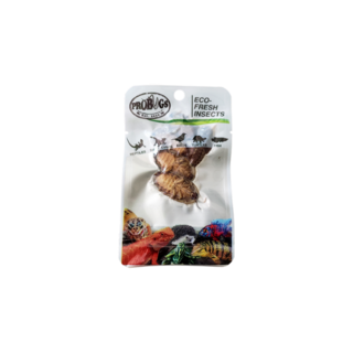 Pro Bugs Dubia Cockroach 5pc