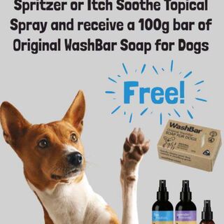WashBar Deal
