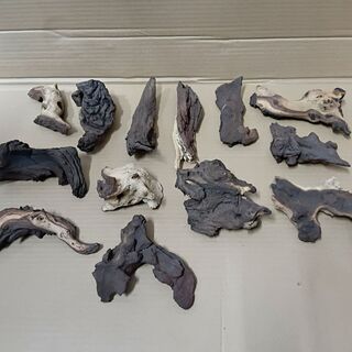 Mopani Driftwood