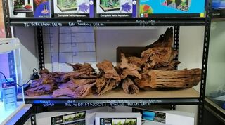 Driftwood Back In Stock