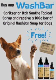WashBar Deal