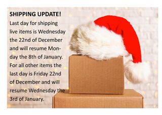 Shipping Update